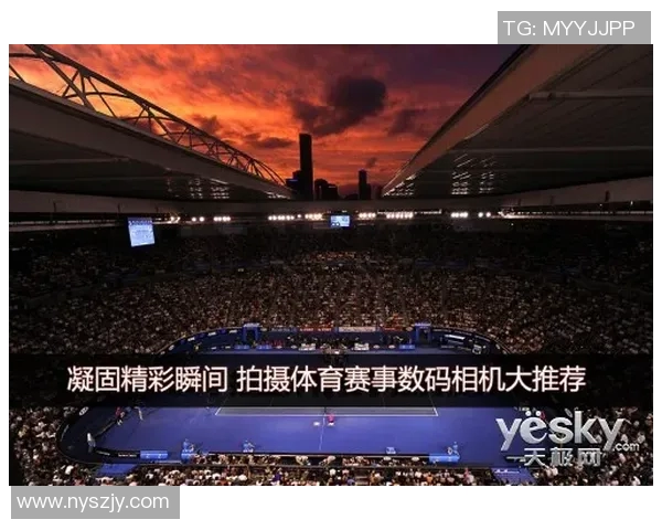 2023年体育赛事季度回顾精彩瞬间与未来展望